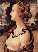 Portrat of Simonetta Vespucci, Piero di Cosimo